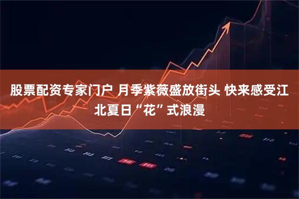 股票配资专家门户 月季紫薇盛放街头 快来感受江北夏日“花”式浪漫