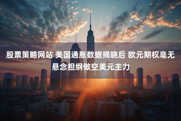 股票策略网站 美国通胀数据揭晓后 欧元期权毫无悬念担纲做空美元主力